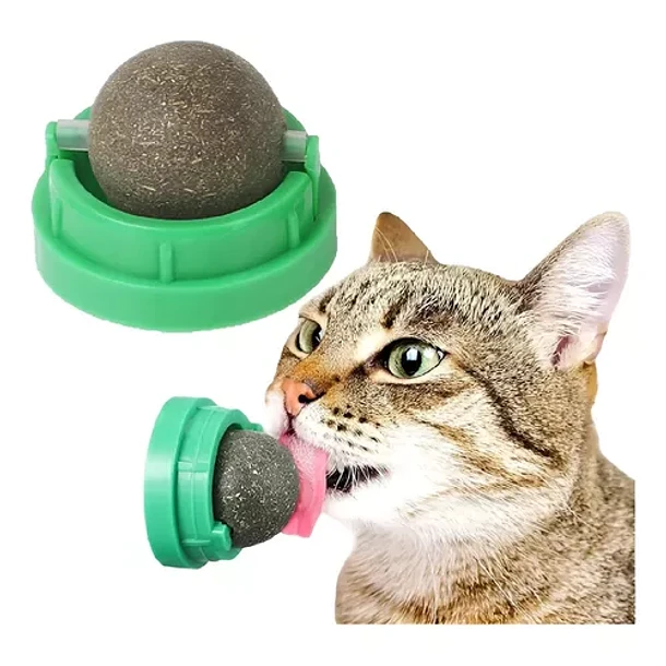 Catnip Para Gatos