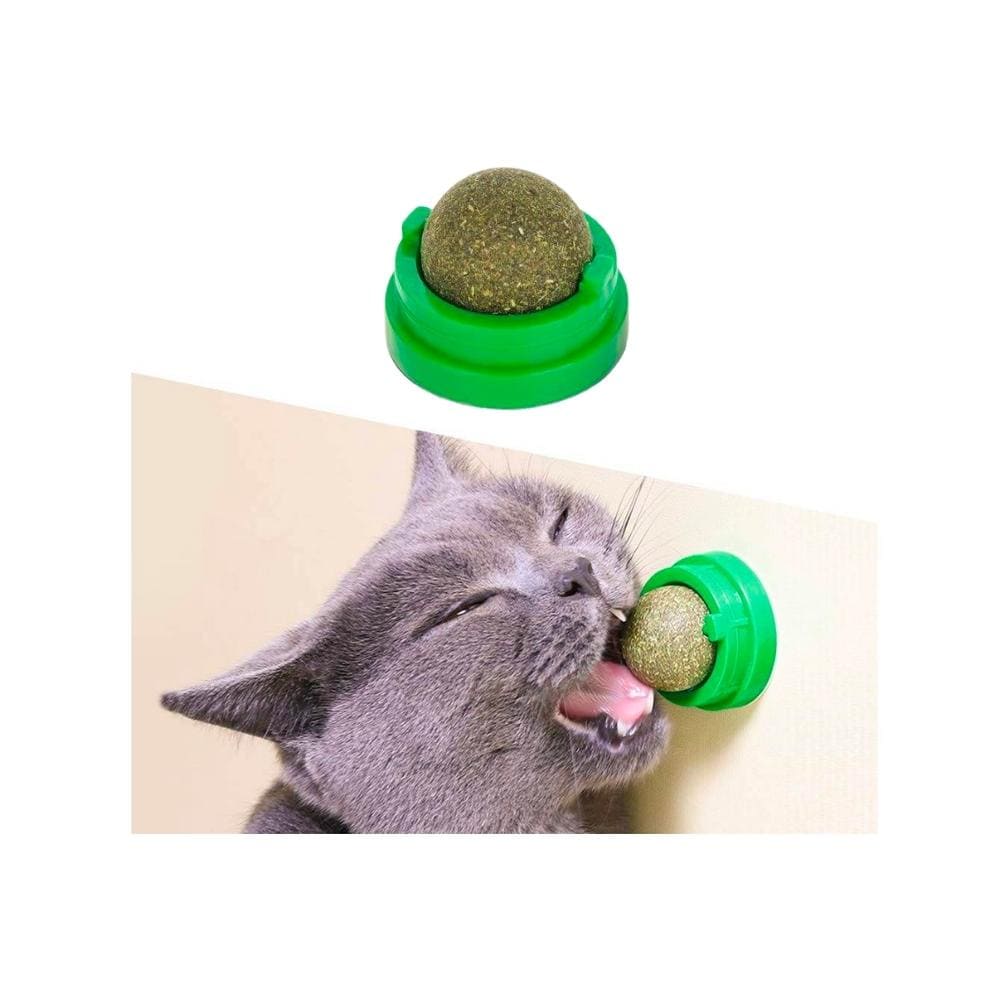 Catnip Para Gatos